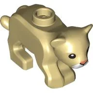 Animal, Cat / Cub with Pink Nose and White Muzzle Print