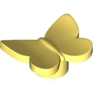 Insect, Butterfly