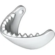 Animal Body Part, Whale, Jaw