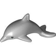 Animal, Dolphin with Black Eyes and White Pupils Print