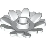 Plant, Sunflower 2 x 2 with 16 Petals